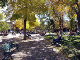 Sunday On The Plaza_edited-1