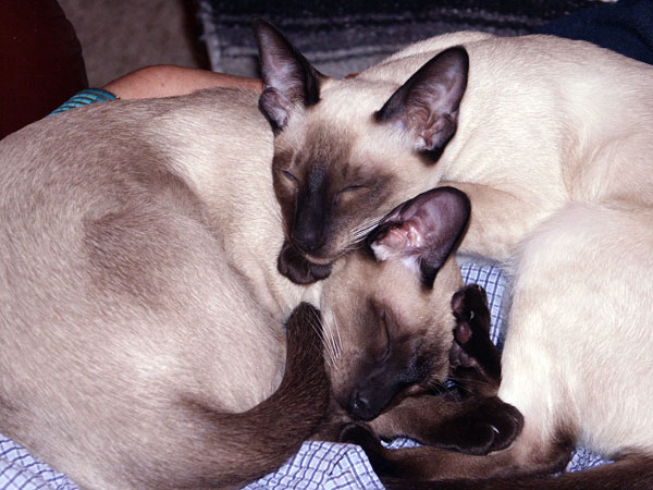PICT0005b