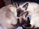 PICT0005b