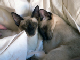 What-warm-sheets-are-for_edited-1